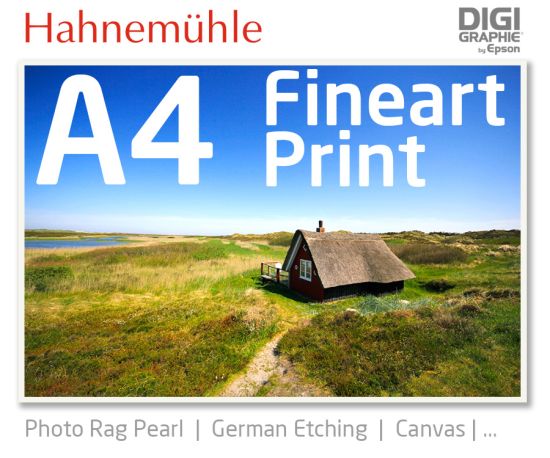 DIN A4  Fineart Druck mit 1440x2880 DPI auf Hahnemühle Fineart-Papieren wie Photo Rag, German Etching, Canvas, Premium Photo Glossy