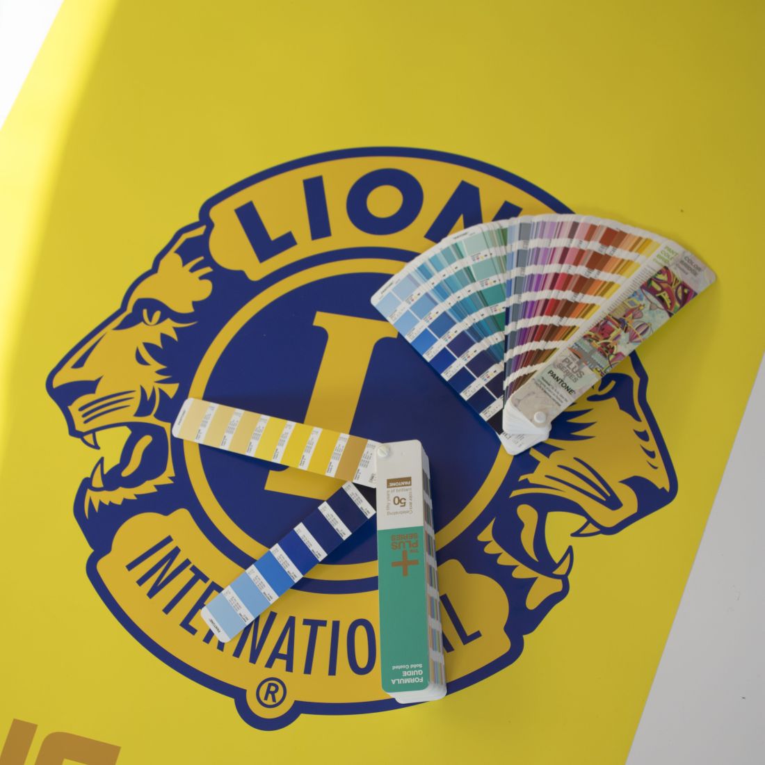 Logo in Pantone 287 C und 7406 C auf Roll-Up Banner